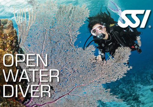 Open-Water-Diver